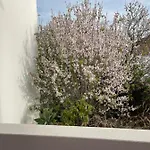 Maison d'hôtes Casa Da Aldeia - Odiáxere