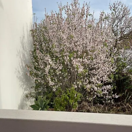 Πανσιόν Casa Da Aldeia - Odiáxere